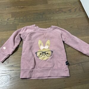 Hux toddler girl purple/pink sweater size 2